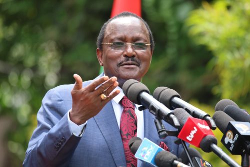 Wiper party leader Kalonzo Musyoka during a past press conference. PHOTO/@skmusyoka/X