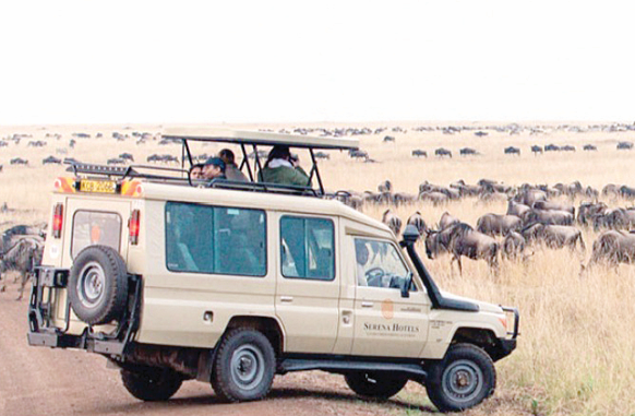 Unlocking Kenya’s tourism potential: Growth and future opportunities